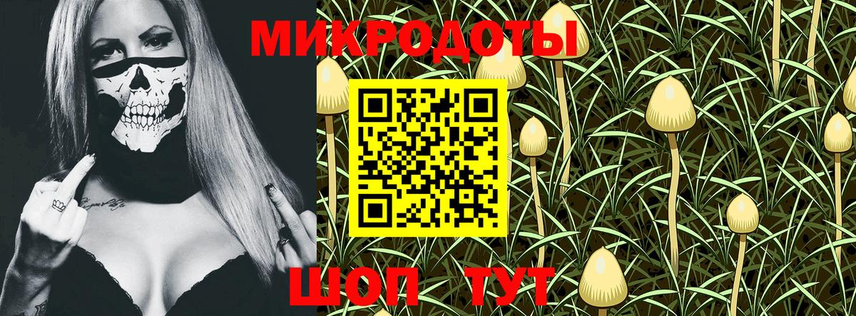 Псилоцибиновые грибы Magic Shrooms Туймазы
